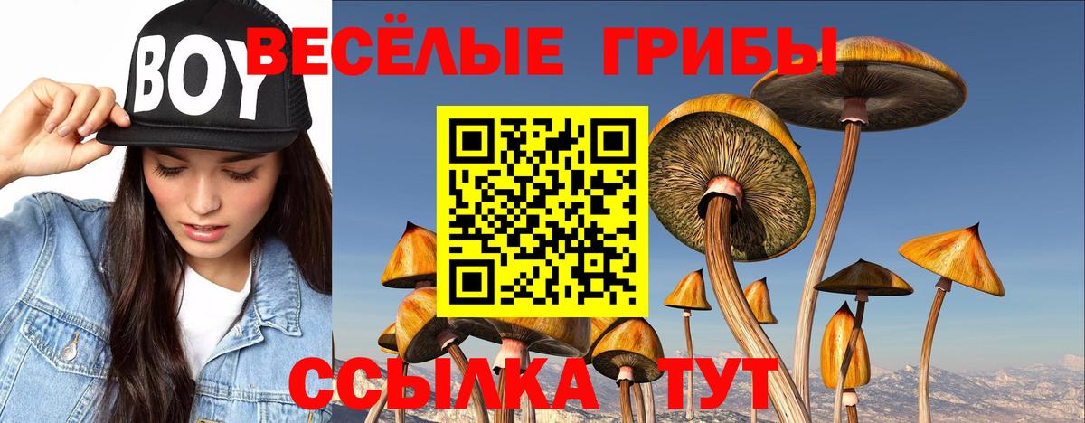 Галлюциногенные грибы Magic Shrooms  Вход с VPN  Псилоцибиновые грибы Cubensis  Удомля 