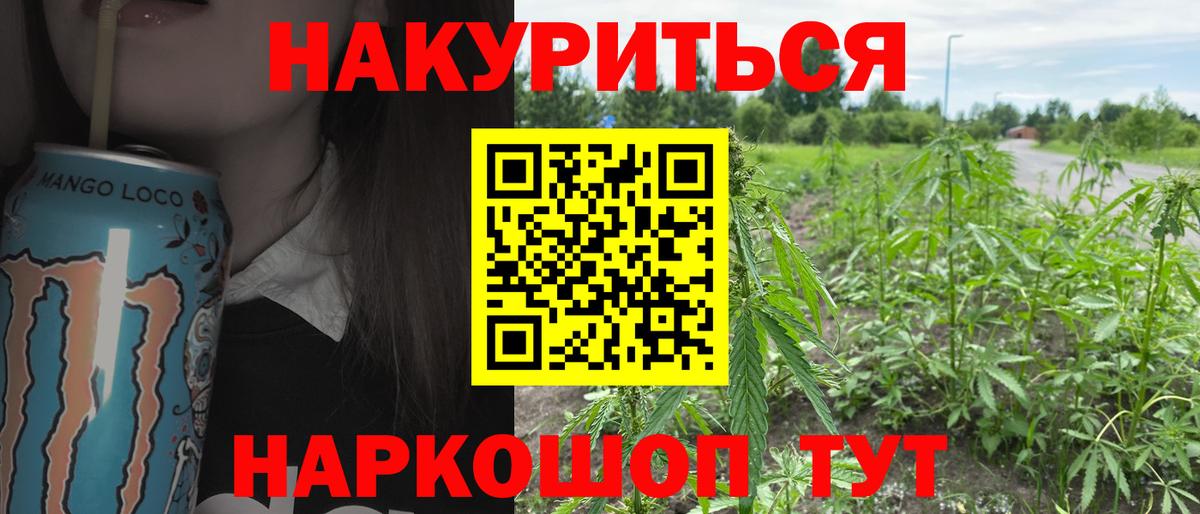 Канабис гибрид Удомля